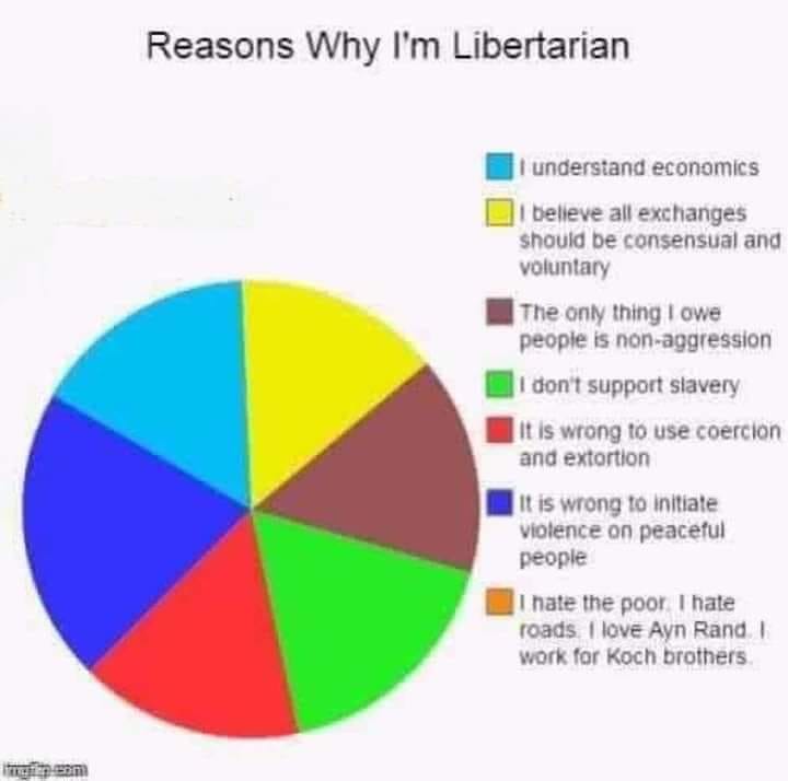 Why I’m a Libertarian | Statist Slayers